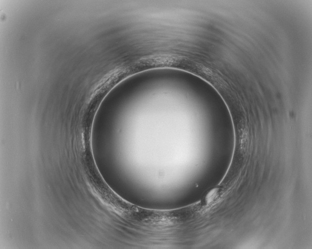 X0000060810254200511141514