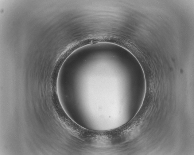 X0000060810256200511141514