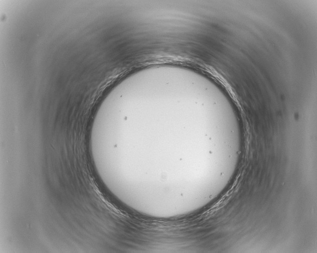 X0000060810257200511141514