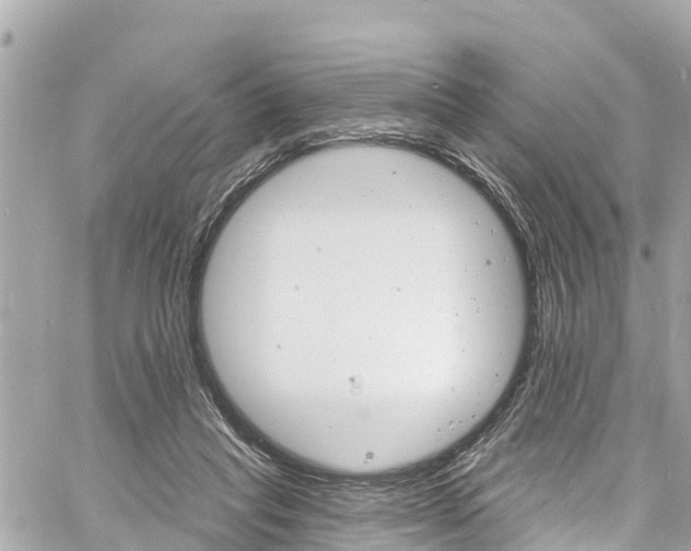 X0000060810261200511141514