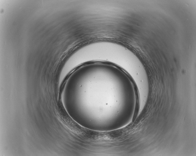 X0000060810262200511141514