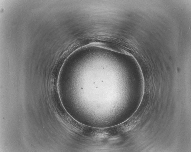 X0000060810263200511141514