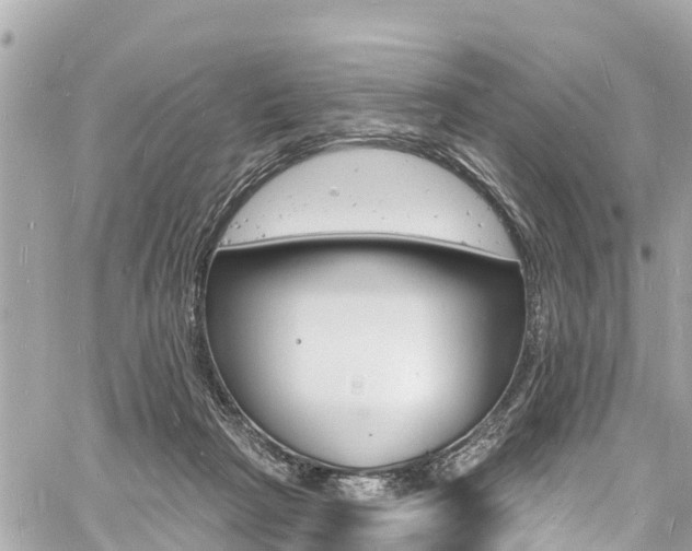 X0000060810265200511141514