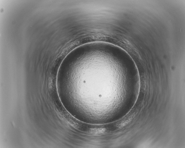 X0000060810266200511141514