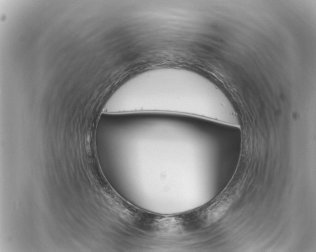 X0000060810269200511141514