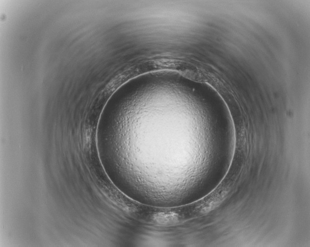 X0000060810271200511141514