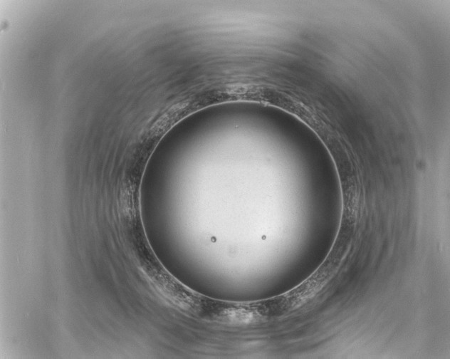 X0000060810272200511141514