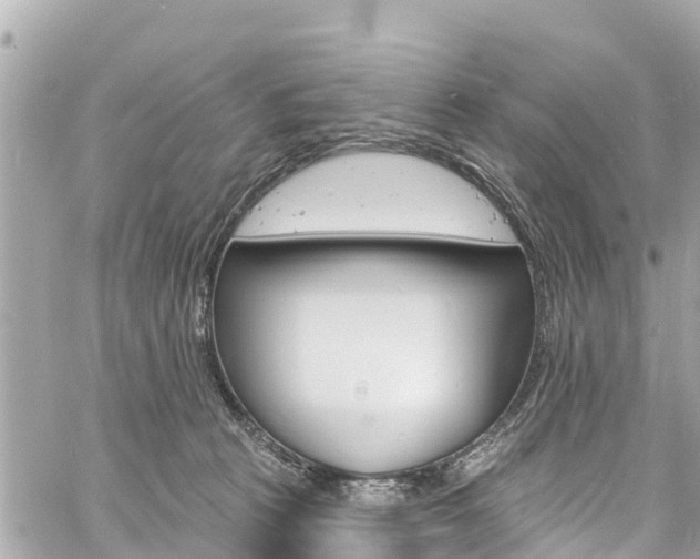 X0000060810273200511141514