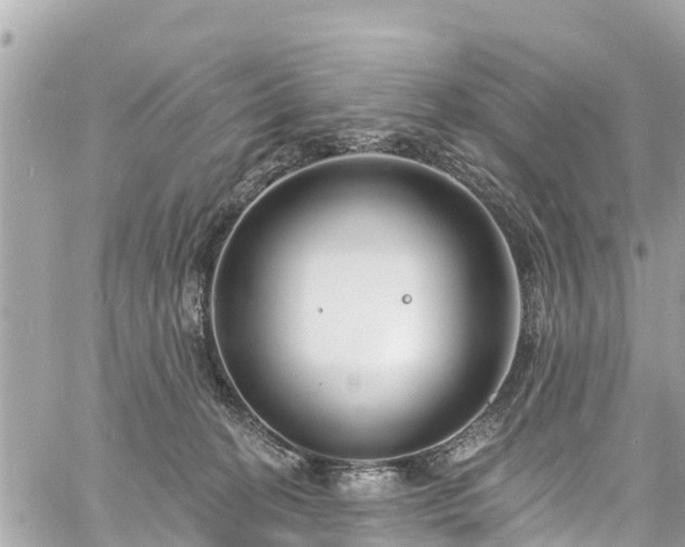 X0000060810274200511141514