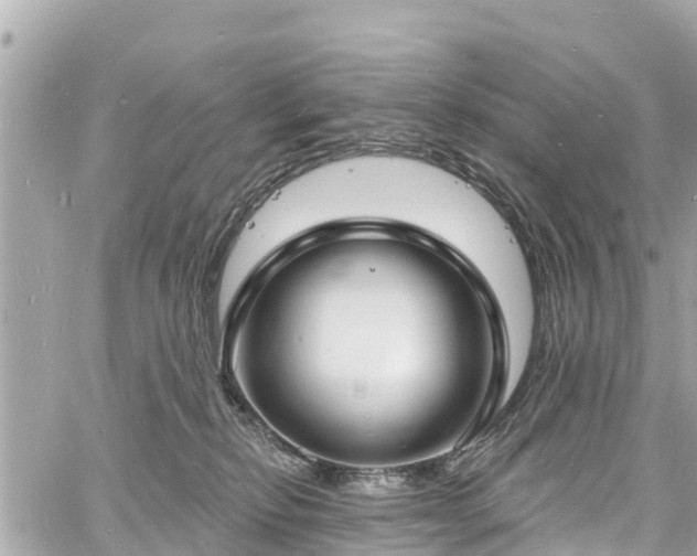 X0000060810278200511141514