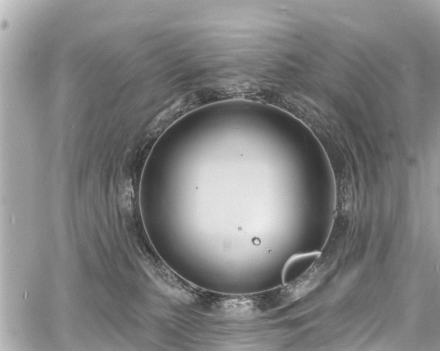 X0000060810279200511141514