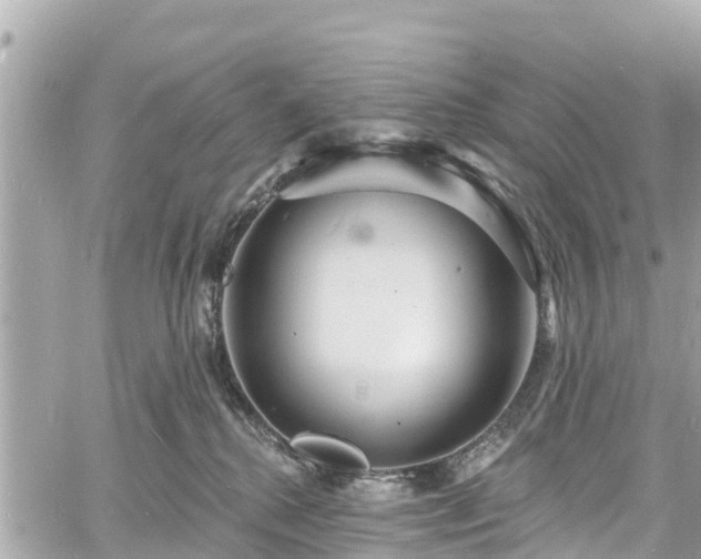 X0000060810280200511141514