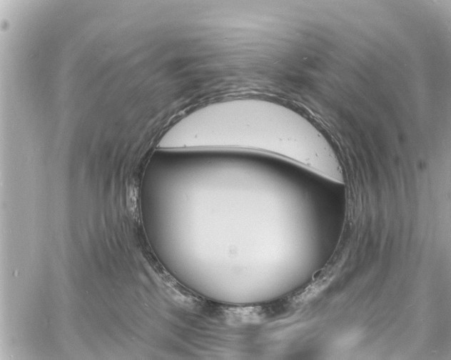 X0000060810281200511141514