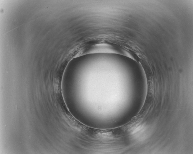 X0000060810283200511141514