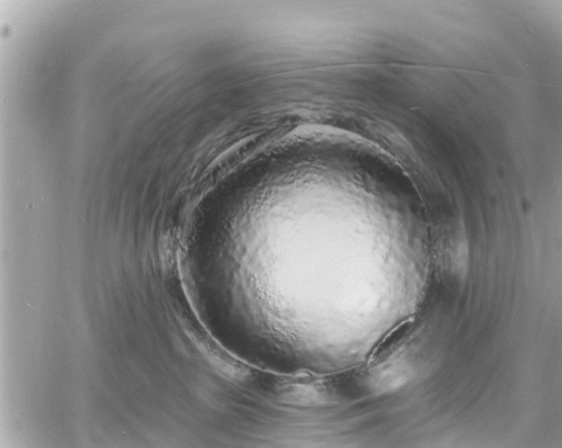 X0000060810285200511141514