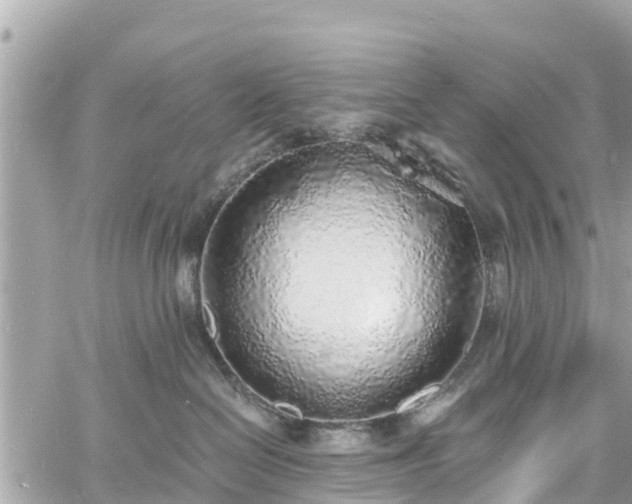 X0000060810286200511141514