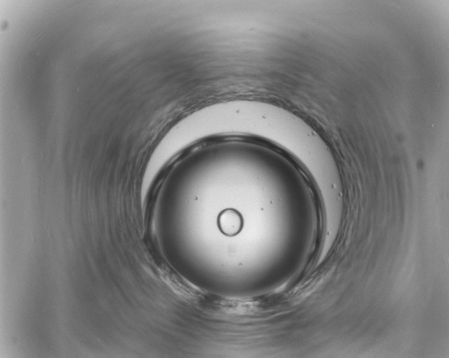 X0000060810288200511141514