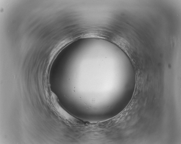 X0000060810289200511141513