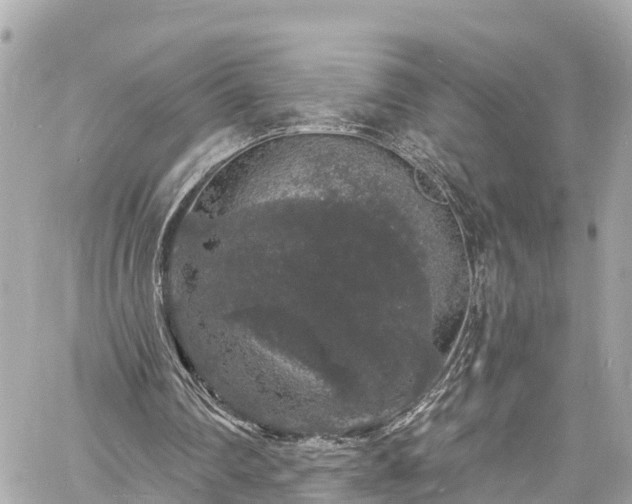 X0000060810290200511141513