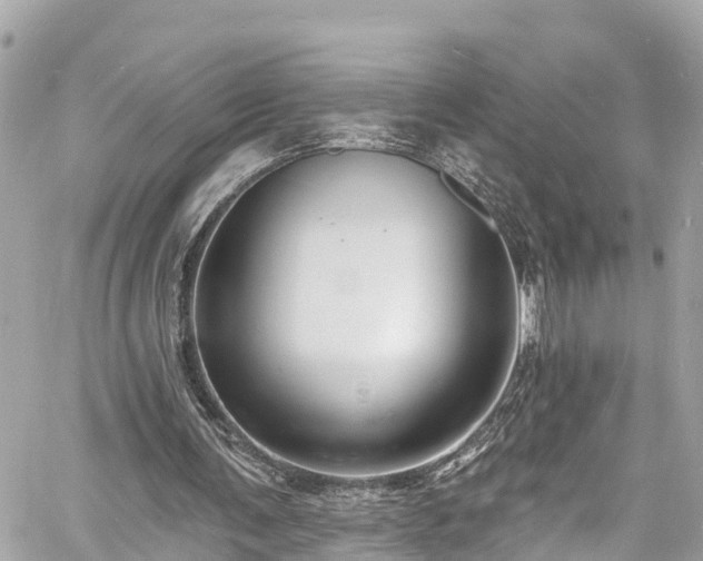 X0000060810291200511141513