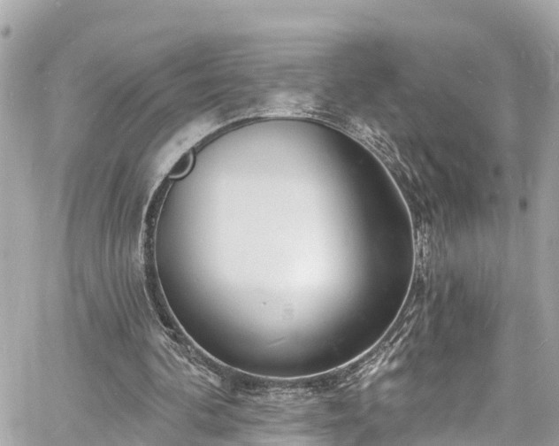 X0000060810292200511141513