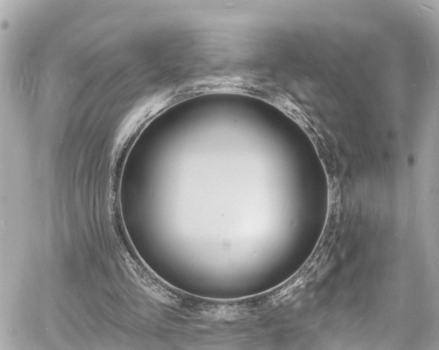 X0000060810293200511141513