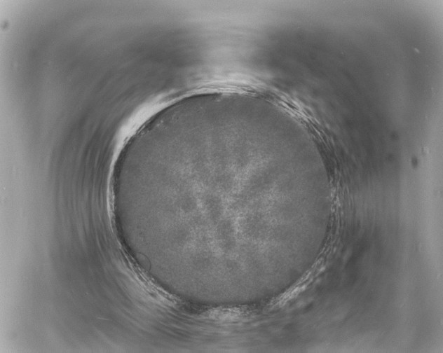 X0000060810294200511141513