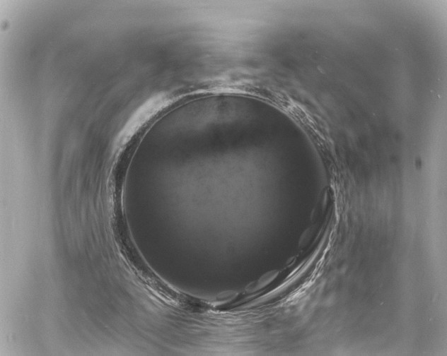 X0000060810295200511141513