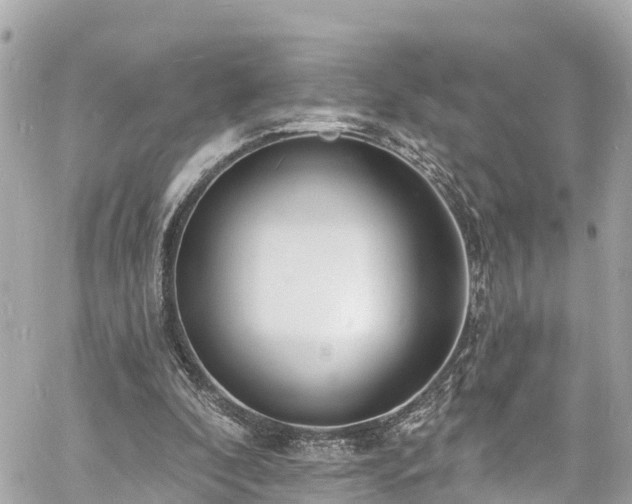 X0000060810296200511141513