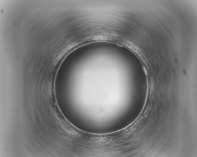 X0000060810297200511141513