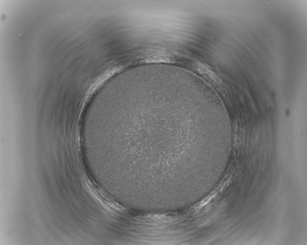 X0000060810298200511141513