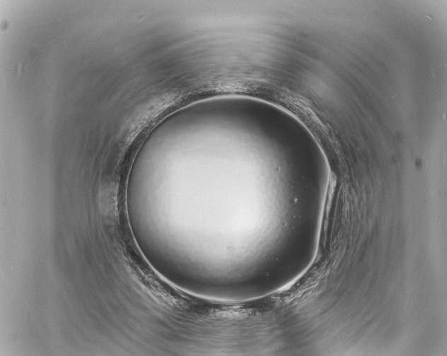 X0000060810299200511141513