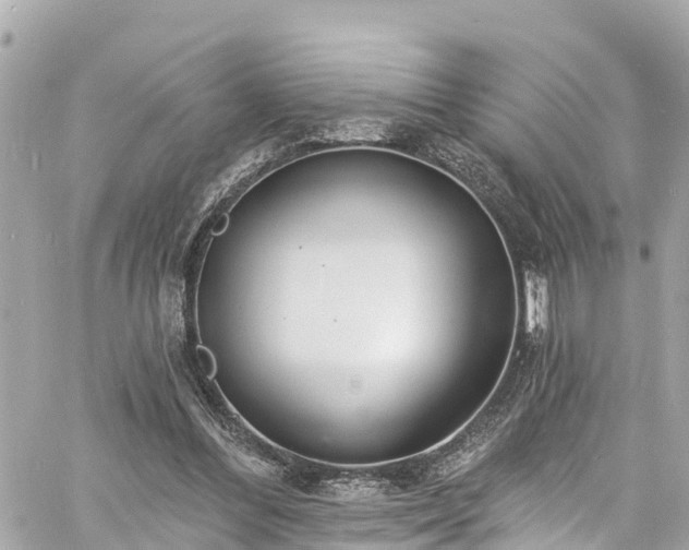 X0000060810300200511141513