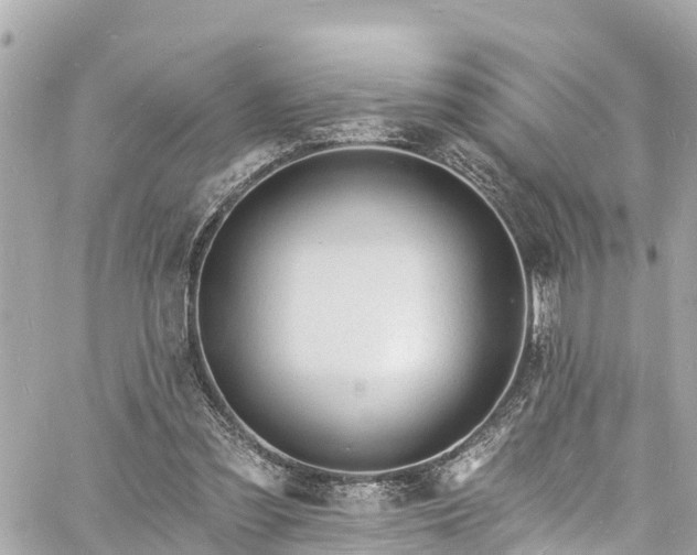 X0000060810301200511141513