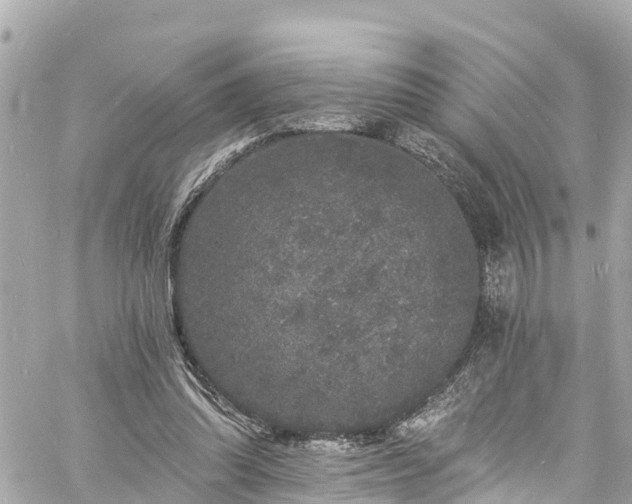 X0000060810302200511141513