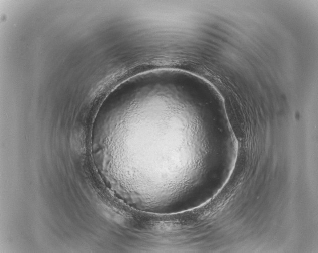 X0000060810303200511141513