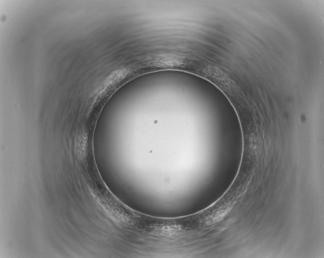 X0000060810304200511141513