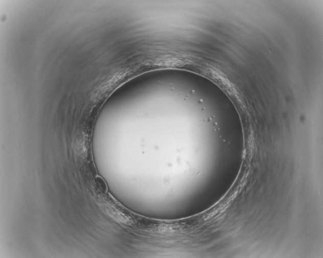 X0000060810305200511141513