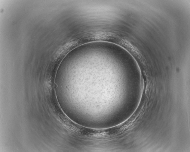 X0000060810306200511141513