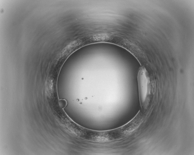 X0000060810308200511141513