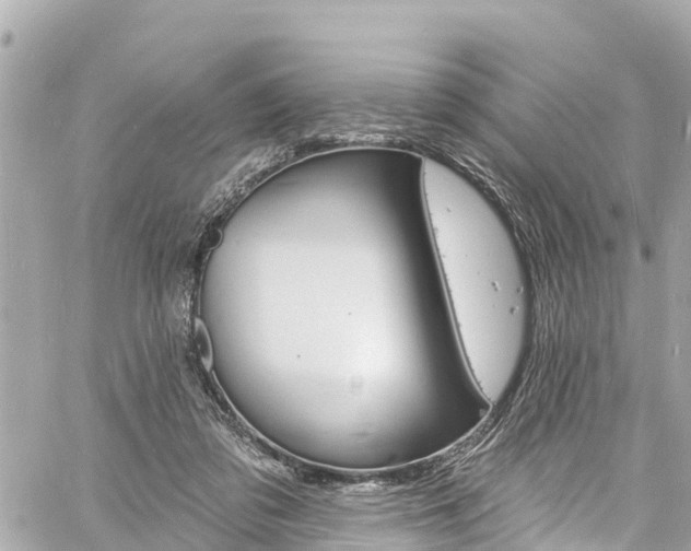 X0000060810309200511141513