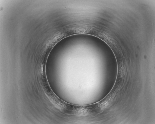 X0000060810310200511141513