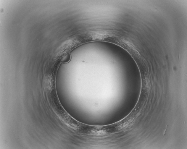 X0000060810311200511141513