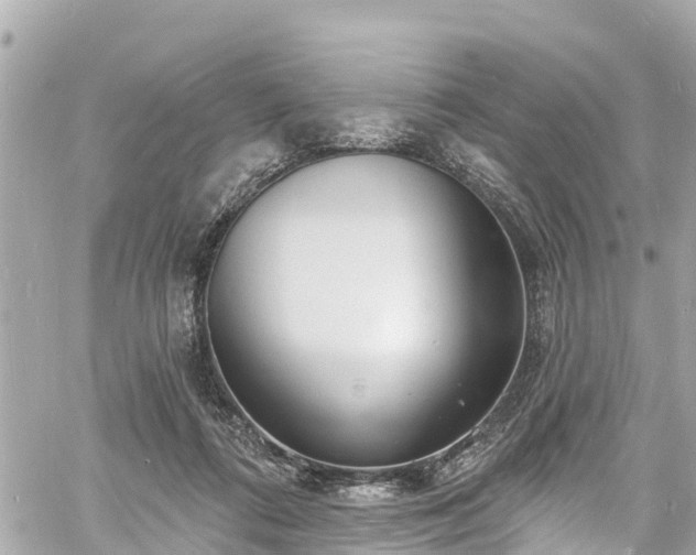 X0000060810312200511141513