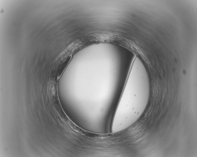 X0000060810313200511141513