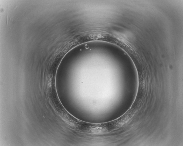 X0000060810315200511141513