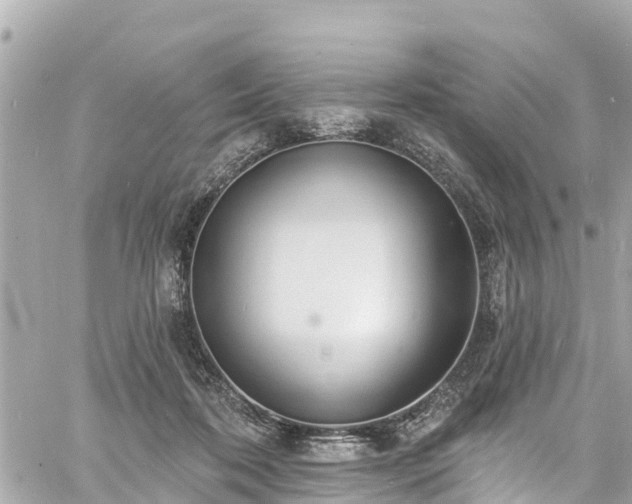 X0000060810316200511141513