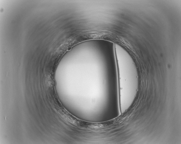 X0000060810317200511141513