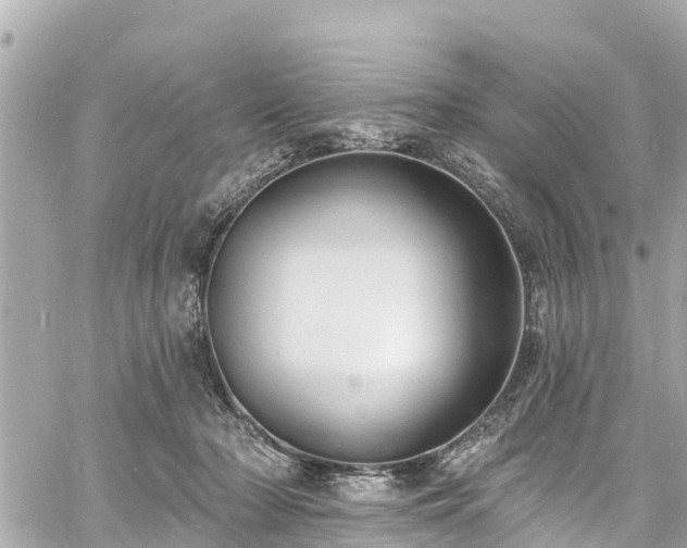 X0000060810318200511141513