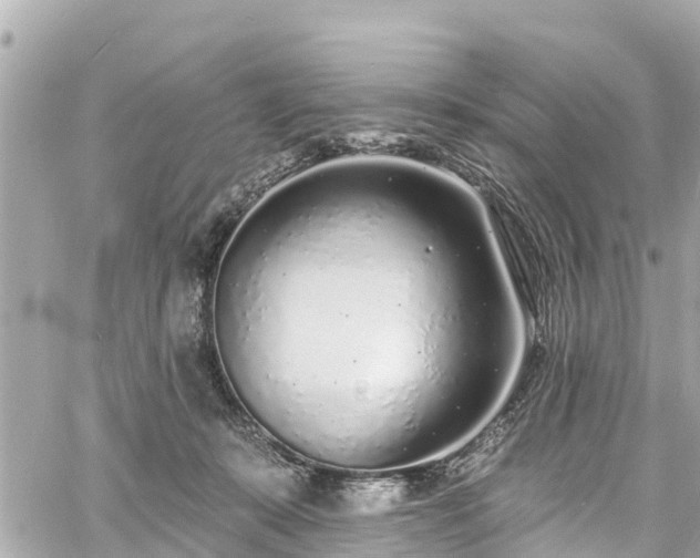 X0000060810319200511141513